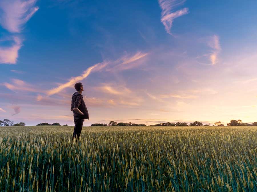 man standing in a field looking up to the sky